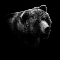 Медвежонок🐻🇷🇺 (@apovx) 's Twitter Profile Photo