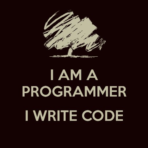 I am a Programmer