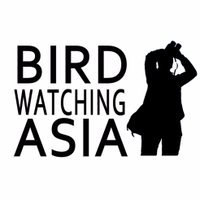 Bird Watching Asia (@birdwatchingmy) 's Twitter Profile
