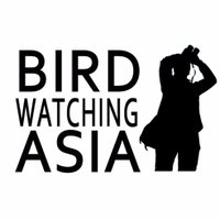 Bird Watching Asia(@BirdWatchingMy) 's Twitter Profileg