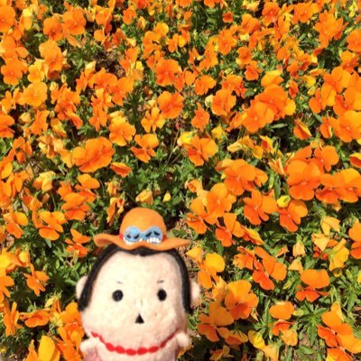 ちゃやまさんのプロフィール画像