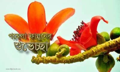 Y0nvJfAisEcoNfI's profile picture. ভালো বাসা চাই