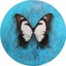 Abena (@psycheduped) Twitter profile photo Abena (@psycheduped) Twitter profile photo