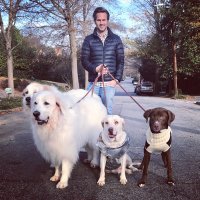 Craig Koch (@schmoosdaddy) 's Twitter Profile