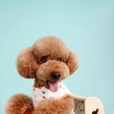 jskkkkk000's profile picture. 