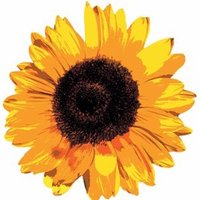 BedfordParkFestival (@bedfordparkfest) 's Twitter Profile