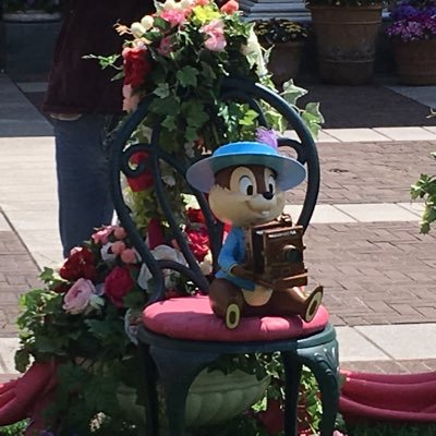 ketto_FA's profile picture. 舞浜共通 ディズニーなど思ったことをたまに呟きます