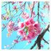 貴Nee (@sweepyresort) Twitter profile photo 貴Nee (@sweepyresort) Twitter profile photo