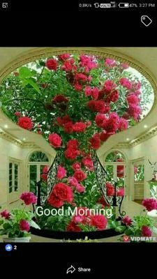 mayaijil's profile picture. Hello guys