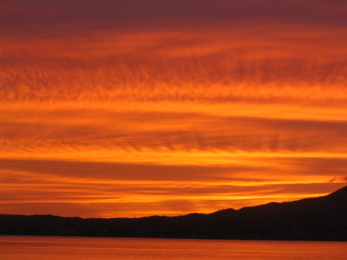 LindyGruen's profile picture. 