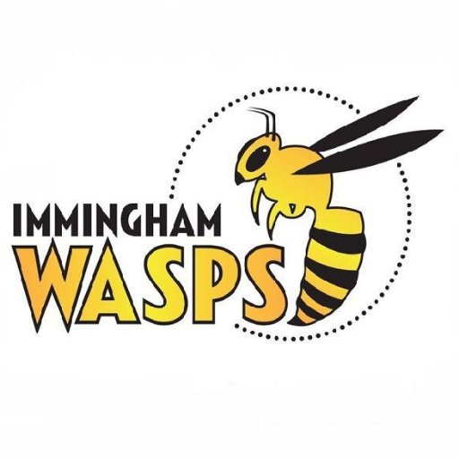 Immingham_Wasps's profile picture. Friendly junior rugby league side based in Immingham, NE Lincolnshire. Ages 5 to 15. New players always welcome.🏉