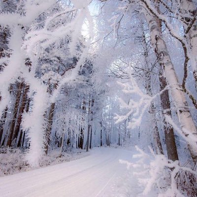 ZappiaJoseph's profile picture. 