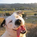 Per Michael Andersen - @perwied1 - Twitter