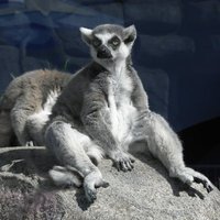 KarmaCoverage (@karma_coverage) 's Twitter Profile