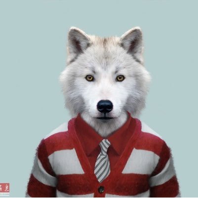 kuoaoshen's profile picture. WxW