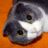WeHaveFurryFeet's profile image
