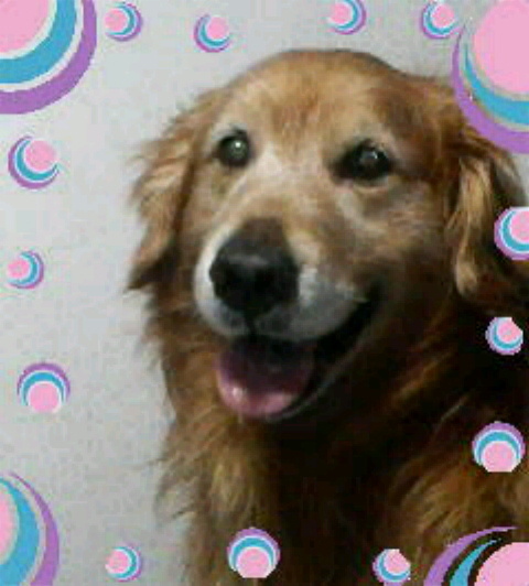 meeさんのプロフィール画像