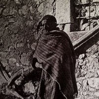 Mesetario (@pro_aris_focis) 's Twitter Profile