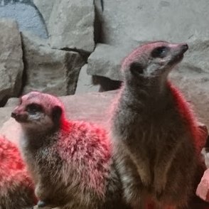 Aoifemurph99's profile picture. 