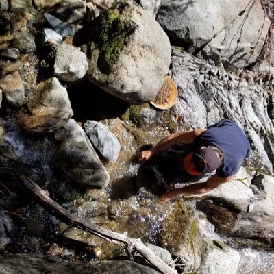Retired #UFCW-8🔪 Prospector, Hobby Racer, Bucket list K5, Cultivator #Resistance #RewildTheWest
