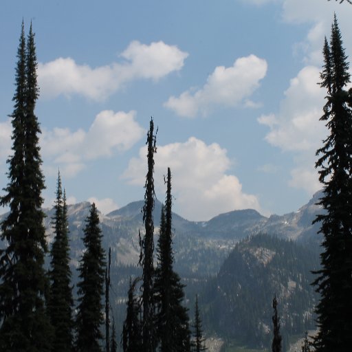 writerwronger's profile picture. Desperate for a job