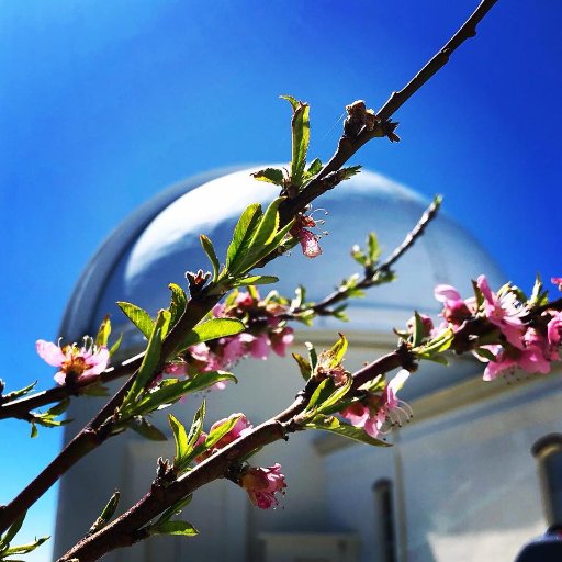 Lick Observatory