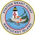 USCG Sta Brant Point (@BrantPointCG) Twitter profile photo