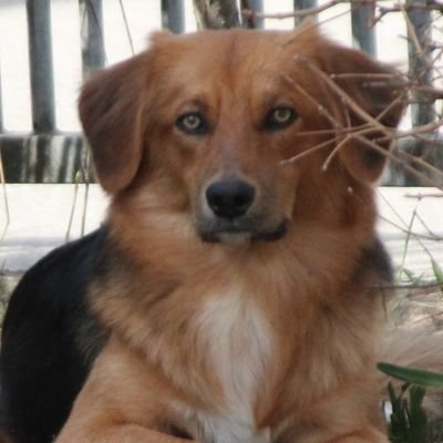 VfB-Kuddie (@T3Kuddie) | Twitter