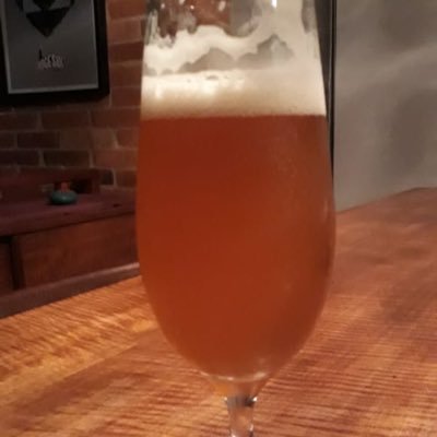 DONPIZZAS's profile picture. Do you know, where the wild things go? - Geologist