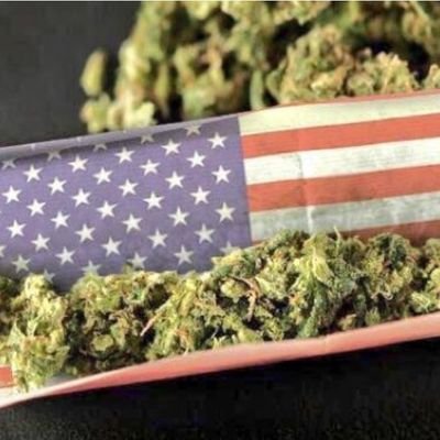 StonerVibes3's profile picture. ..and then I got high