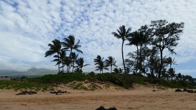 green_mtn_kate's profile picture. Computers and life stuff.