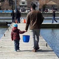 Moaz Ahmad (@yyzmya) 's Twitter Profile