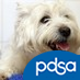 pdsaswindon's profile picture. Supporting PDSA - for pets in need of vets