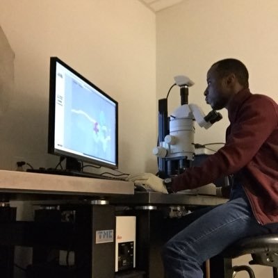 Cybermike08's profile picture. Christian|Nigerian|Plant Research Scientist @nyuniversity|Teacher|Educator| DNALC & NSF Scholar| @DNALC|Founder @yowimadi_foundt|Dep. Director @dnalcnigeria