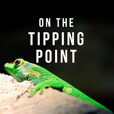 Do you ever feel on the #tippingpoint of success? Join Leadership Coaches @sherryRB & @TheMissionMaven to explore what it takes to go beyond. #success #podcasts