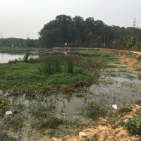 KadubesanhalliRising (@kadubesanhallir) 's Twitter Profile