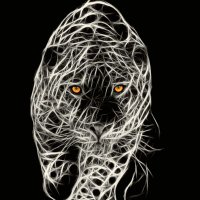m_d_n_g_h_t (@m_d_n_g_h_t) Twitter profile photo