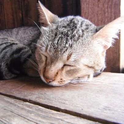 mwck7Hu76LMvV57's profile picture. スパム垢フォローしてくんな  お金配り垢もフォローしてくんな 天安門事件