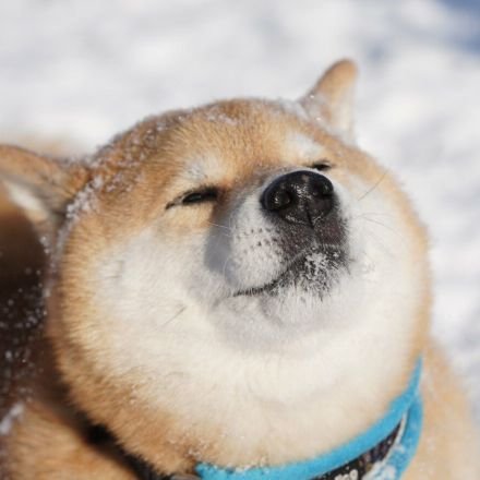 raira341's profile picture. VALORANTとAPEX