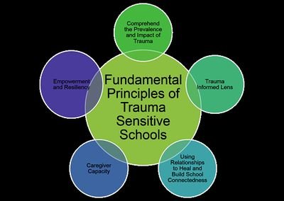 ACEs (adverse childhood experiences) impact all communities no matter the demographic, socioeconomics, geographical location... We must change how we teach.
