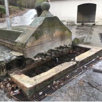 Saelices De La Sal (@saelicesdelasal) 's Twitter Profile Photo