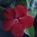 Regina Muth - @regina_muth - Twitter