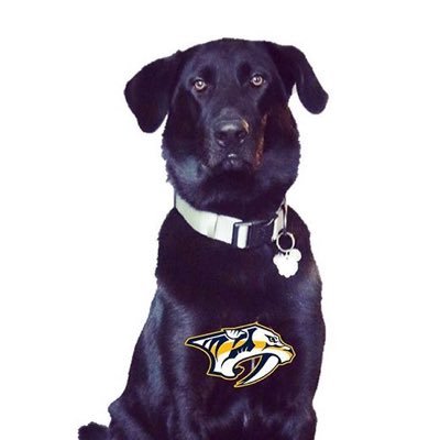 Bauerthehockey_'s profile picture. follow me on Instagram @bauerthehockeydog_