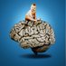 AVC_Neuroped (@abelvc_neuro) Twitter profile photo AVC_Neuroped (@abelvc_neuro) Twitter profile photo
