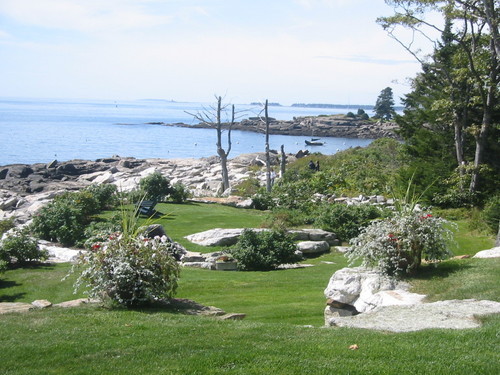 Shoediva704's profile picture. 