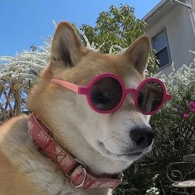 hさんのプロフィール画像