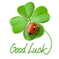 Aktiedalkulla 🍀🐞 (@aktiedalkulla) 's Twitter Profile Photo Aktiedalkulla 🍀🐞 (@aktiedalkulla) 's Twitter Profile Photo