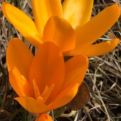 Rakelalias's profile picture. RT innebär inte nödvändigtvis medhåll.