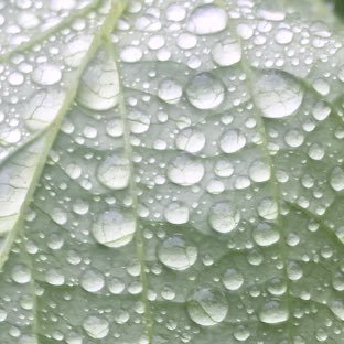 eels_escalators's profile picture. 