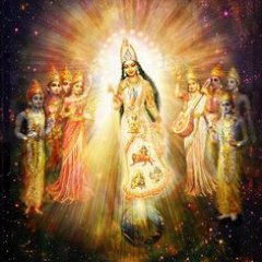 cryptosunx's profile picture. cryptocurrencies #airdrop# #btc#